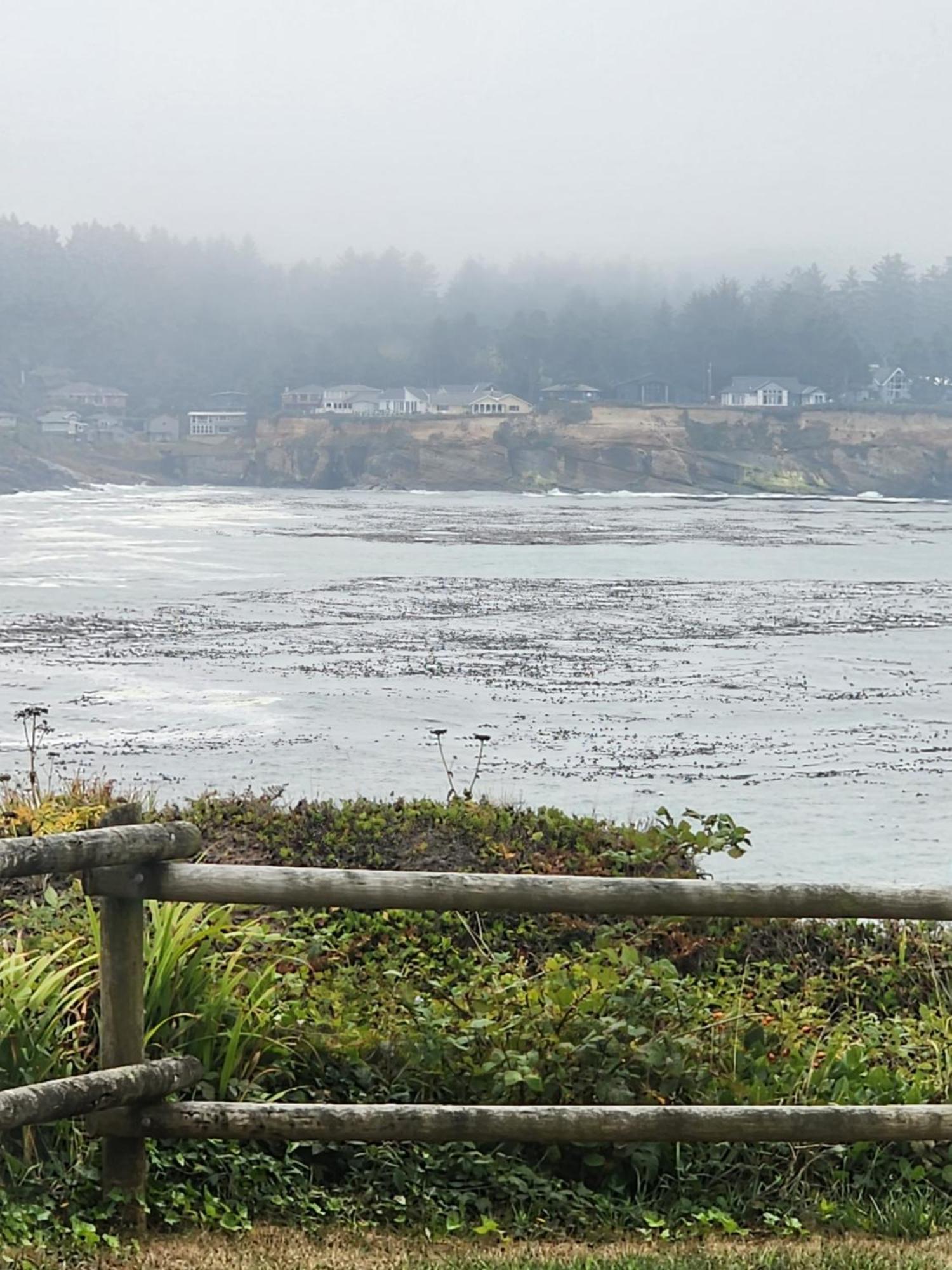 Inn At Arch Rock Depoe Bay Exterior photo